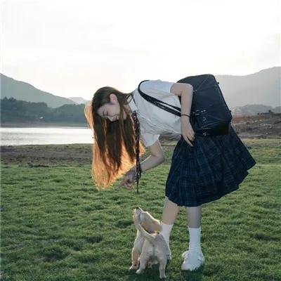 橱窗里的兔子先生